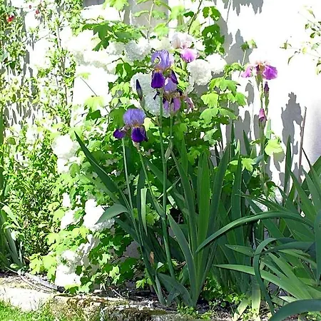 La Maison De Sophie *